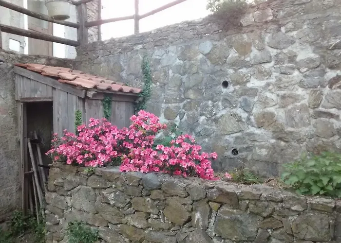 La Sereta Фермерский дом Бузалла